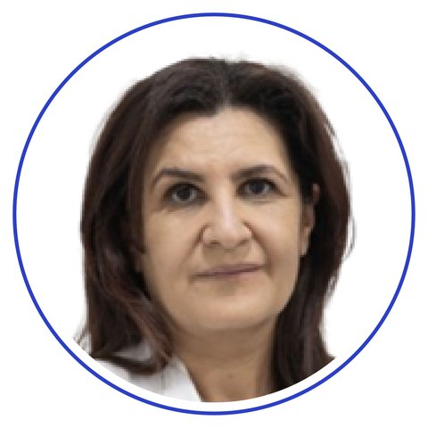 Inas El Najjar